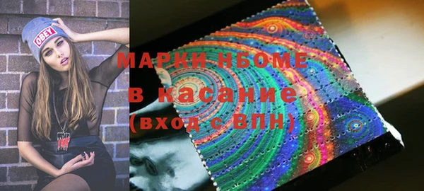 твердый Абаза